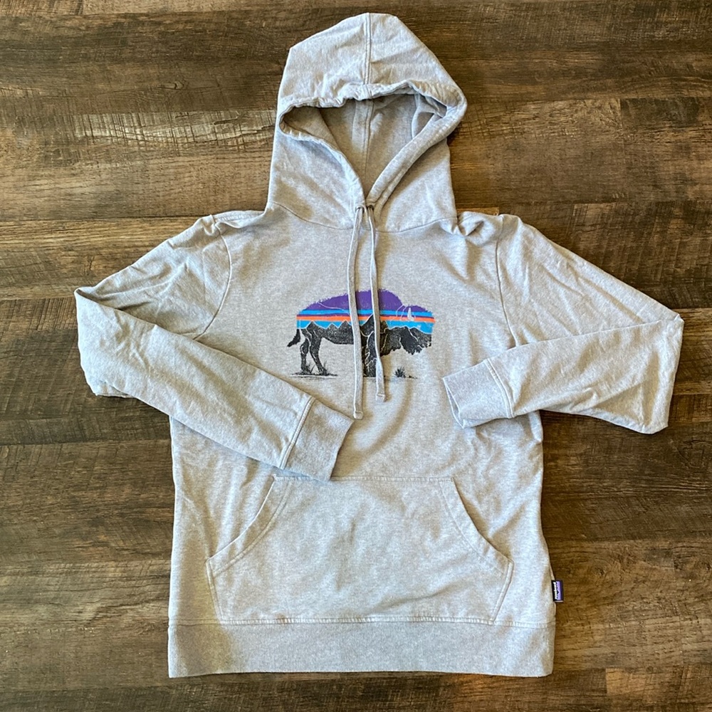 Women’s Patagonia Fitz Roy Bison Hoodie - Grey, Size M